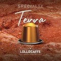 lollo-terra.jpg